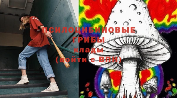 jwh Верея