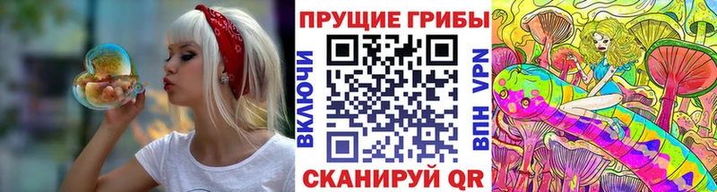 Галлюциногенные грибы ЛСД  магазин продажи наркотиков  Сургут 