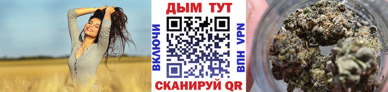 Каннабис индика  дарнет шоп  Сургут 